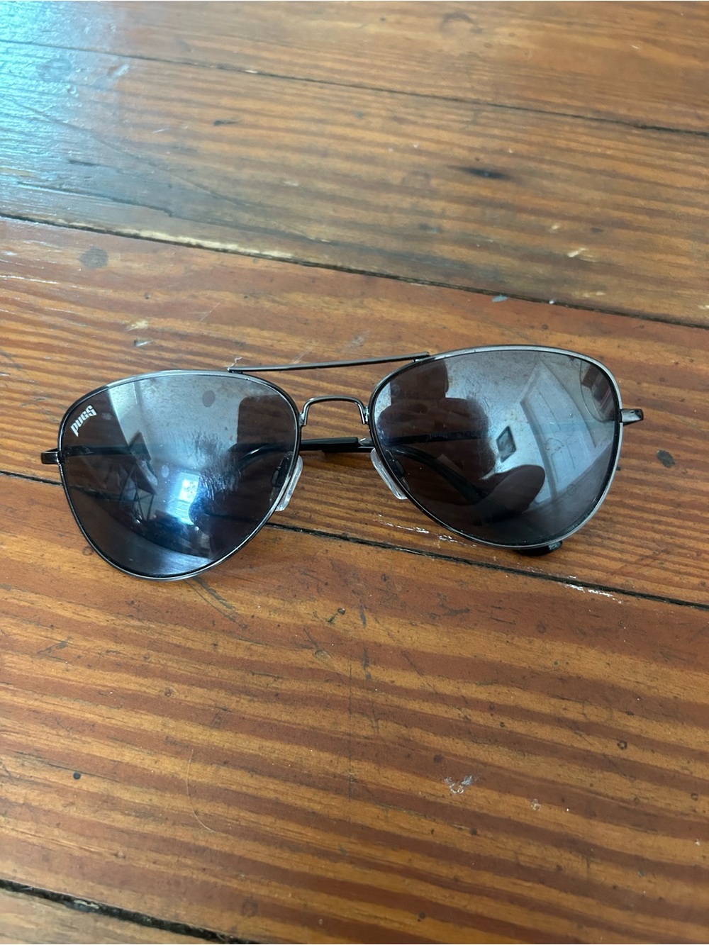 Pugs Aviator Sunglasses